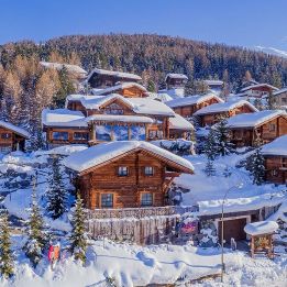 Park Chalet Village